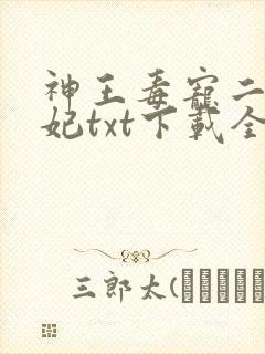 神王毒宠二嫁王妃txt下载全本