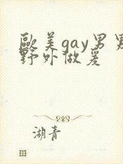 欧美gay男男野外做爰