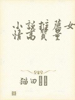 小说推荐女生言情高质量