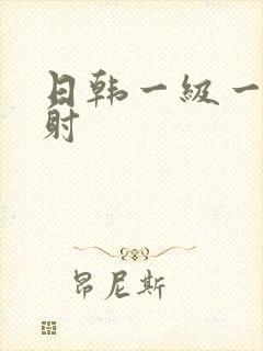 日韩一级一片内射