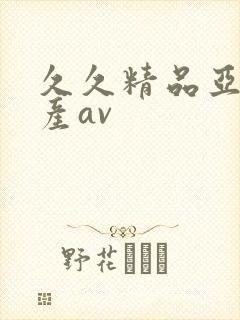 久久精品亚洲国产av封面