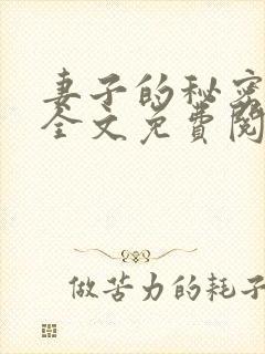 妻子的秘密小说全文免费阅读封面