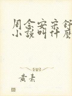 周念安宋舒然的小说叫什么名字