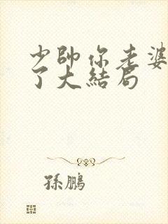 少帅你老婆又跑了大结局