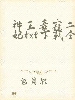 神王毒宠二嫁王妃txt下载全本