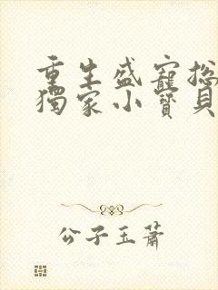 重生盛宠总裁的独家小宝贝小说