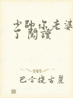 少帅你老婆又跑了 阅读封面