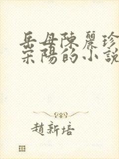 岳母陈丽珍女婿宋阳的小说免费