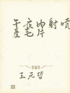 午夜内射喷水国产毛片