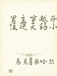 男主穿越斗罗颜值逆天的小说