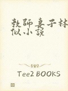 教师妻子林琪相似小说封面