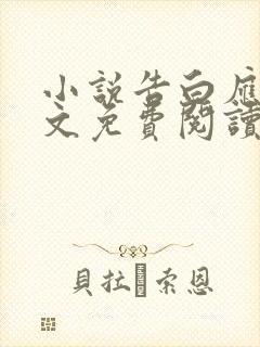 小说告白应橙全文免费阅读