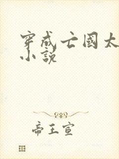 穿成亡国太子妃小说