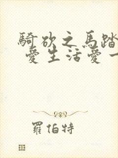 骑砍之马踏天下 爱生活爱一刀