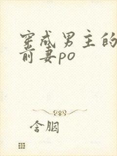 穿成男主的炮灰前妻po