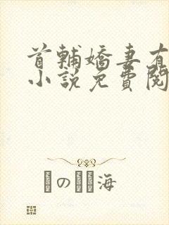 首辅娇妻有空间小说免费阅读封面