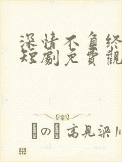 深情不负终遇你短剧免费观看全集