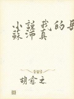 小说 我的岳母苏沛真