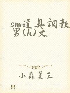 sm道具调教男男(h)文封面
