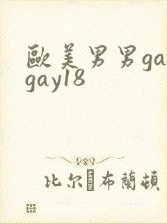 欧美男男gaygay18