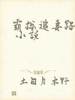 霸总追妻路漫漫 小说