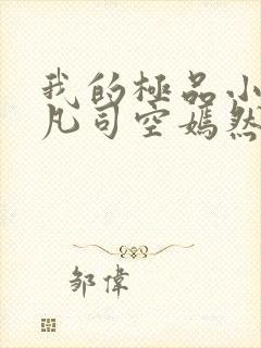 我的极品小姨叶凡司空嫣然小说