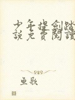 少年提剑踏苍小说免费阅读无弹窗封面