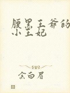 腹黑王爷的萌宠小王妃封面