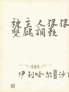 被主人狠狠打开双腿调教