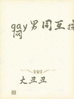 gay男同互操网
