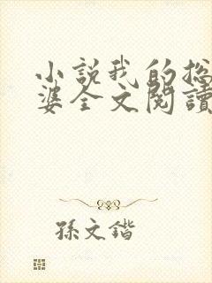 小说我的总裁老婆全文阅读封面