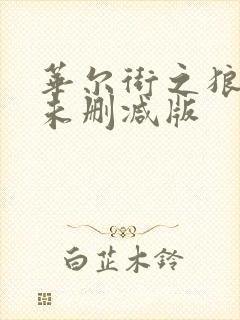 华尔街之狼电影未删减版