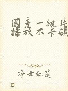 国产一级片在线播放不卡顿一区二区