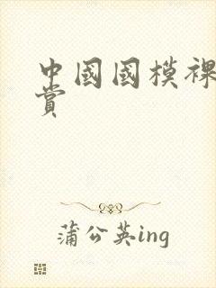 中国国模裸体欣赏