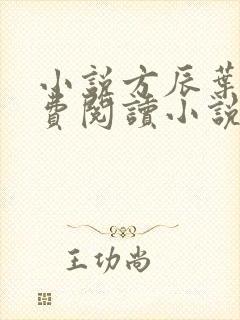 小说方辰叶琳免费阅读小说