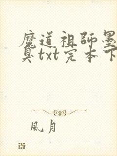 魔道祖师墨香铜臭txt完本下载