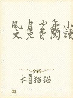 风月少年小说全文免费阅读最新章节