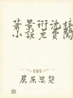 萧景珩沈梓雨的小说免费阅读全文