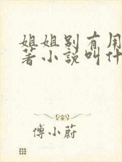 姐姐别有用心原著小说叫什么名字封面