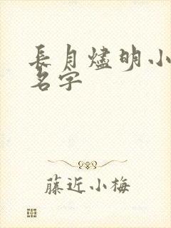 长月烬明小说的名字