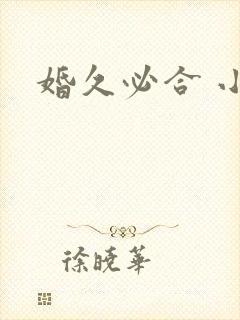 婚久必合 小说