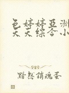 色婷婷亚洲精品天天综合小说