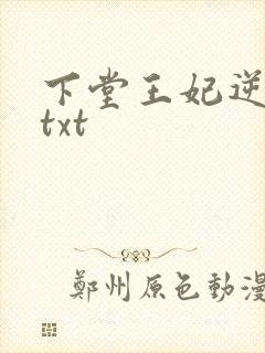 下堂王妃逆袭记txt