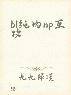 bl纯肉np互攻