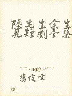 陆先生余生不再见短剧全集