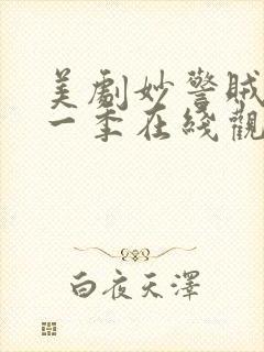 美剧妙警贼探第一季在线观看