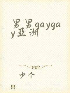男男gaygay亚洲封面