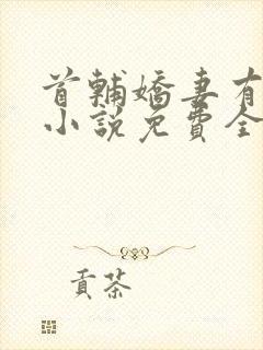 首辅娇妻有空间小说免费全文阅读封面