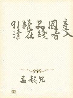 91精品国产高清在线看入口