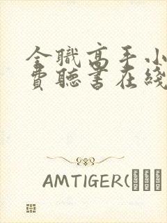 全职高手小说免费听书在线